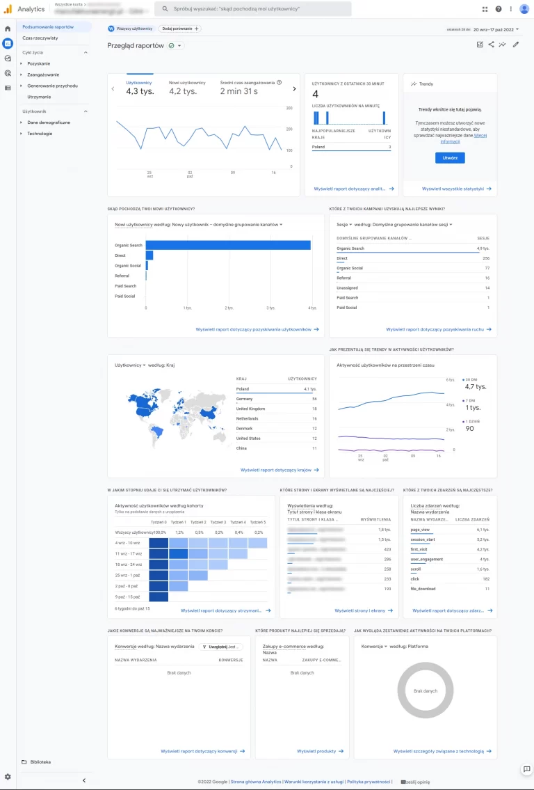 Google Analytics 4 raport przegląd